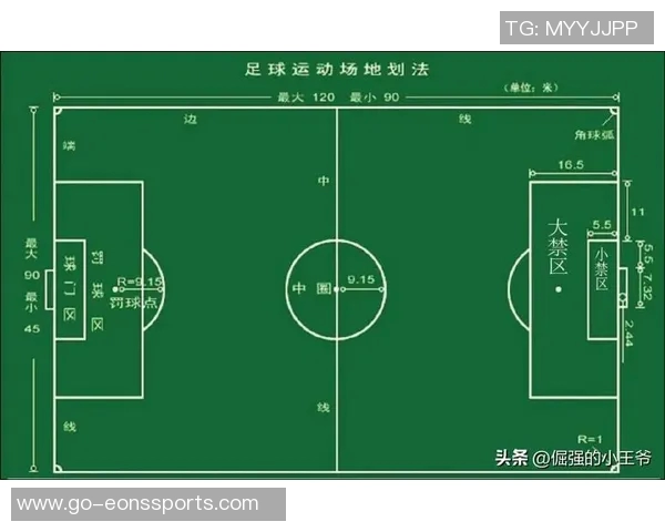 足球与排球的运动特点规则及场地设备的全面对比分析